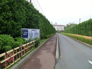 周辺環境