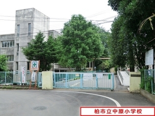 周辺環境
